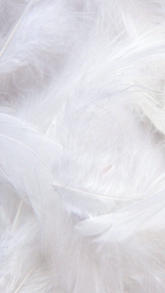 Macro photo of soft white feathers minimalist wallpaper for serene mobile background design