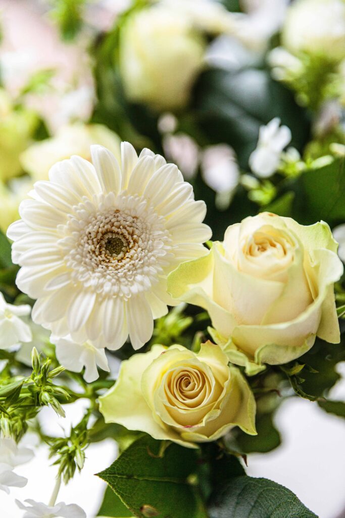 Delicate White Flower Bouquet Wallpaper - Fresh Natural Background