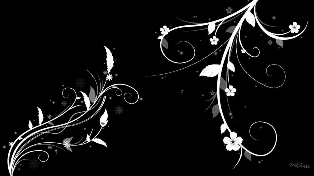 Elegant White Flowers on Black Background - Timeless Wallpaper Design