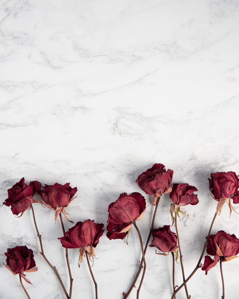 Elegant white marble wallpaper with dried red roses flat-lay for romantic digital background