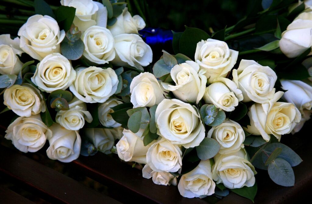 Elegant White Roses Bouquet on Dark Background – Floral Wallpaper