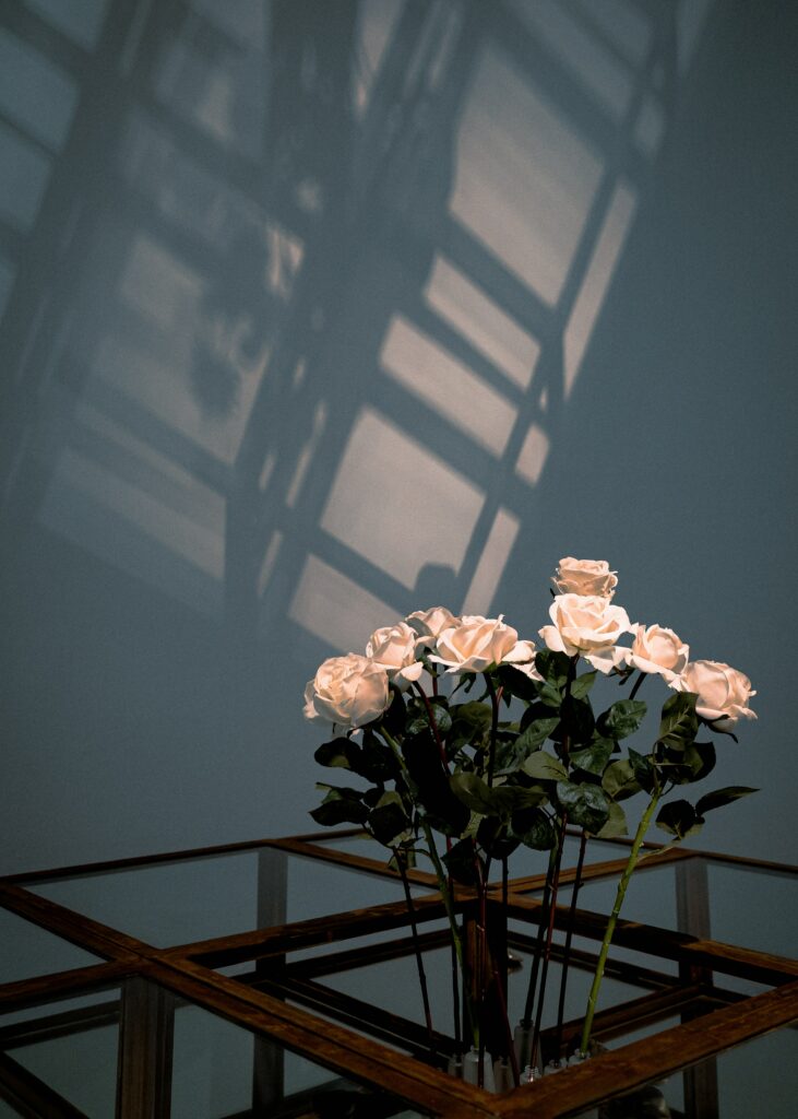 Elegant White Rose Bouquet Wallpaper with Shadowed Architecture