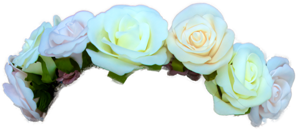 Elegant White Roses Wallpaper: Serene Floral Background Design