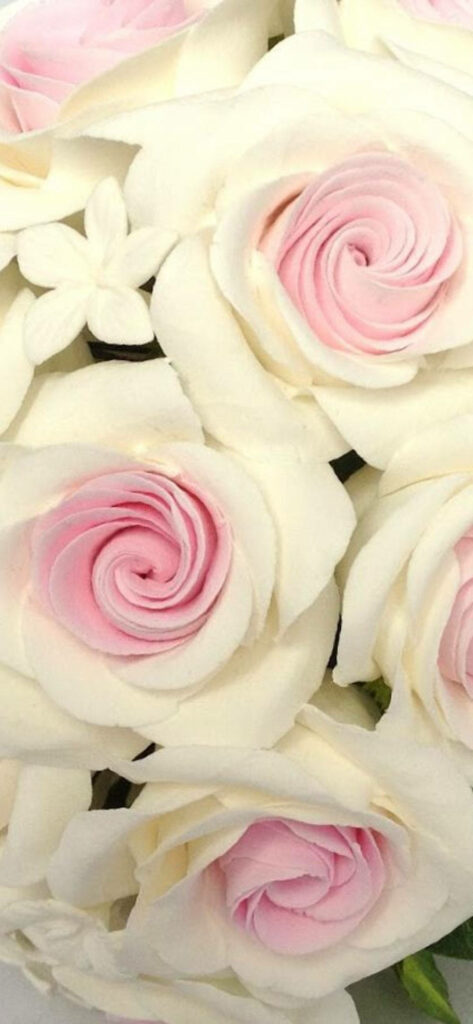 Elegant White Roses with Pink Centers - Romantic Floral Wallpaper