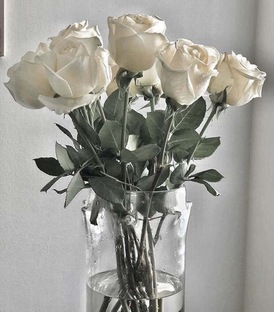 Elegant White Roses in Glass Vase - Serene Aesthetic Wallpaper