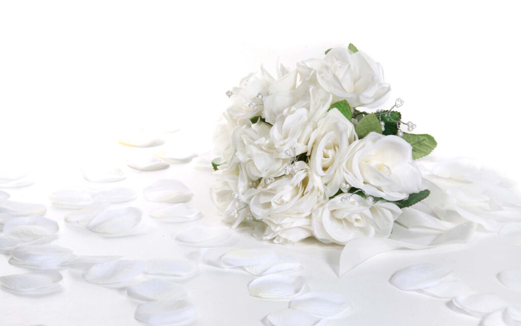 Elegant White Roses Wallpaper with Green Leaves - Serene Floral Background