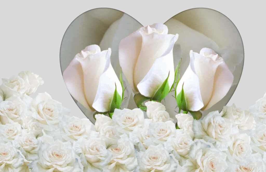 Elegant White Roses with Heart-Shaped Mirror Wallpaper for Serenity