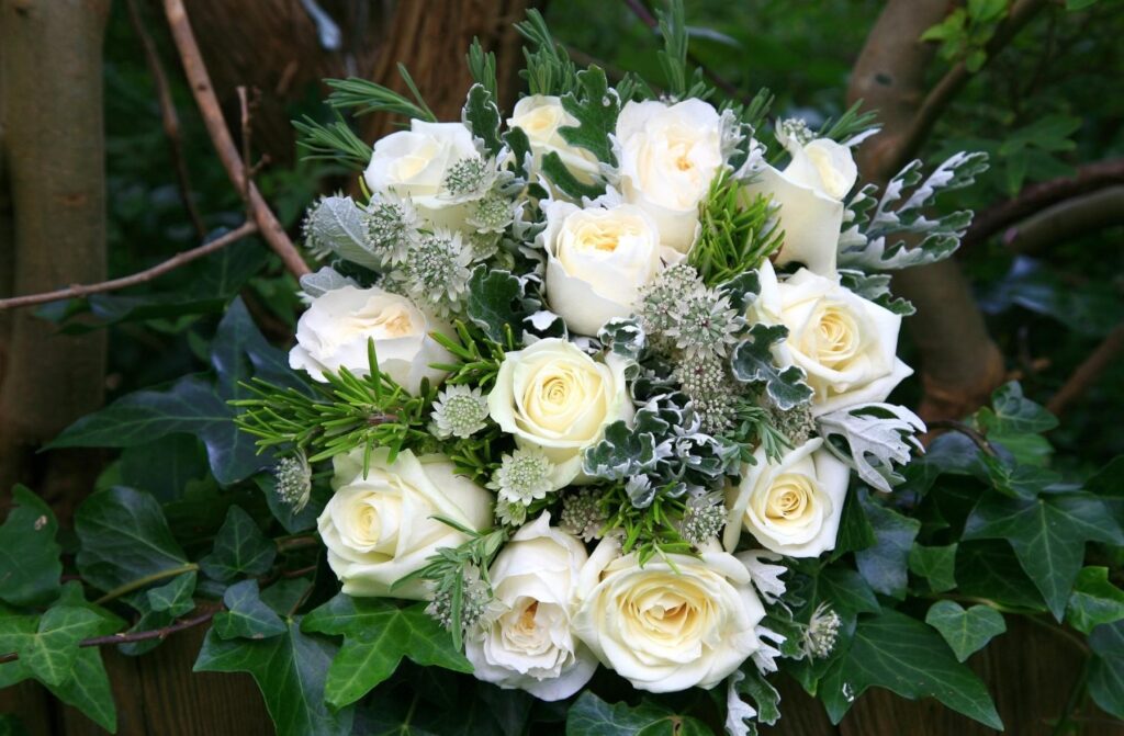 Elegant White Roses with Lush Green Foliage - Floral Background Wallpaper