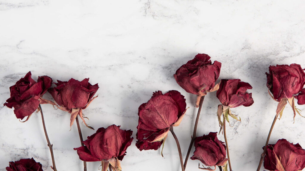 Minimalist Withered Roses Wallpaper on Light Marble Background
