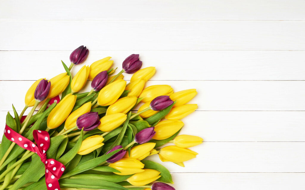 Elegant Yellow & Purple Tulip Bouquet Wallpaper on White Background
