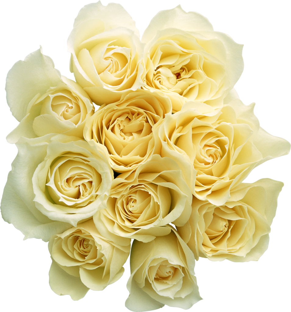 Elegant Creamy Yellow Roses Wallpaper - Delicate Floral Background