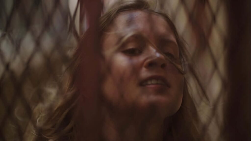 Eliza Scanlen as Amma Crellin in Sharp Objects close-up through mesh barrier warm muted tones Wallpaper
