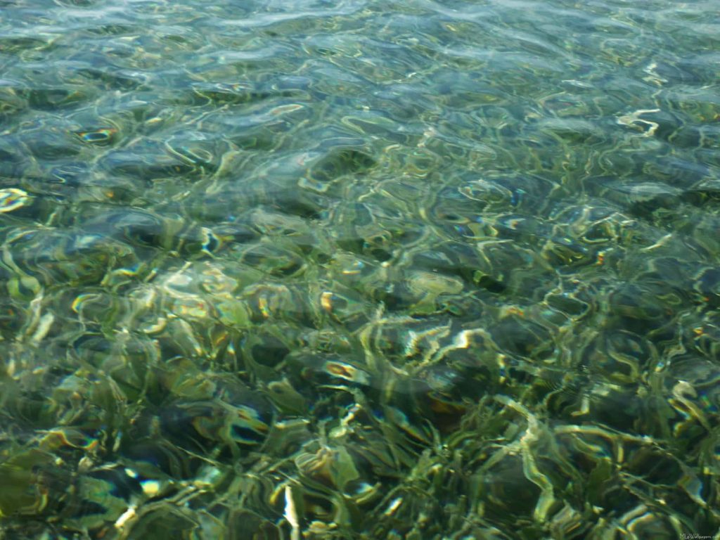 Emerald green shallow water with sunlight ripples and seabed in a serene nature wallpaper
