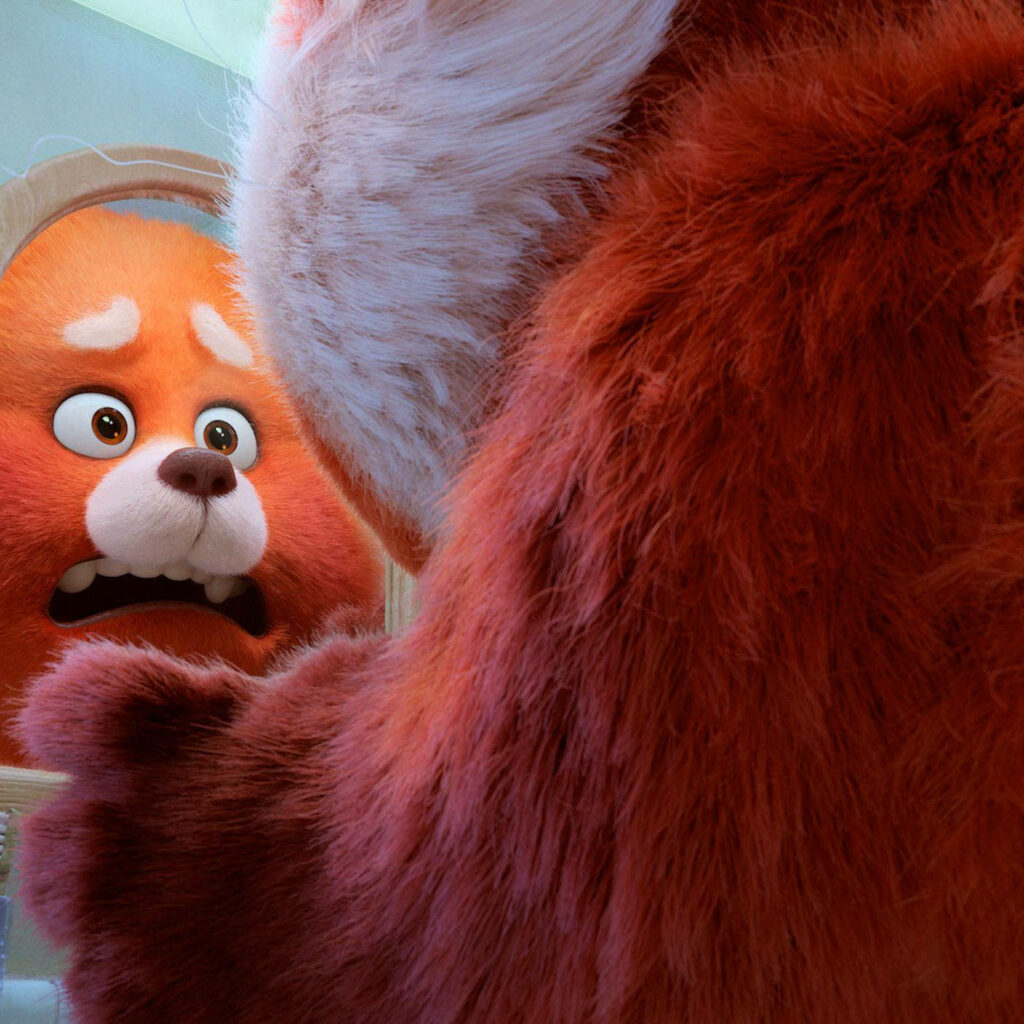 Emotional Turning Red Wallpaper: Red Panda Reflection Background