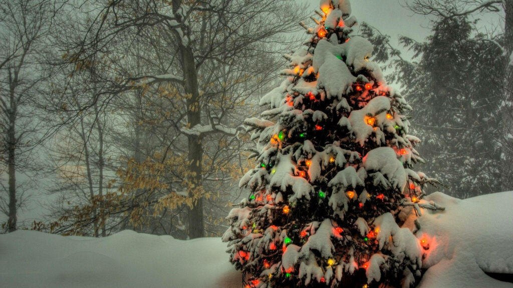 Festive Illumination: Creating Enchanting Ambiance with Outdoor Tree Christmas Lights Wallpaper