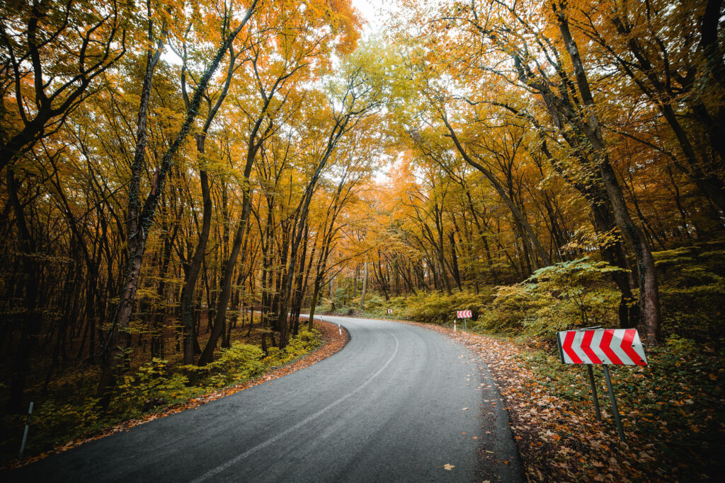 Autumn's Majestic Path: Picturesque Forest Road with Towering Trees and Arrow Signs - Top-Notch Fall Foliage Wallpaper