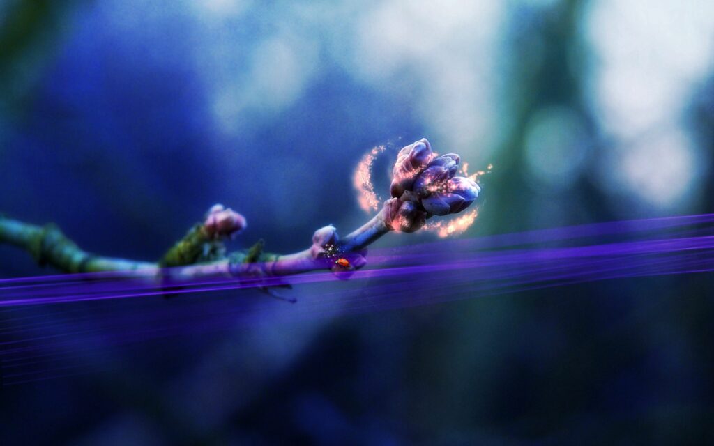 Enchanting Floral Wallpaper: Budding Branches & Soft Glowing Light