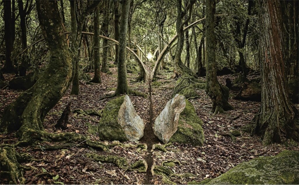 Mysterious forest wallpaper with split glowing stone surrounded by mossy trees and earthy tones