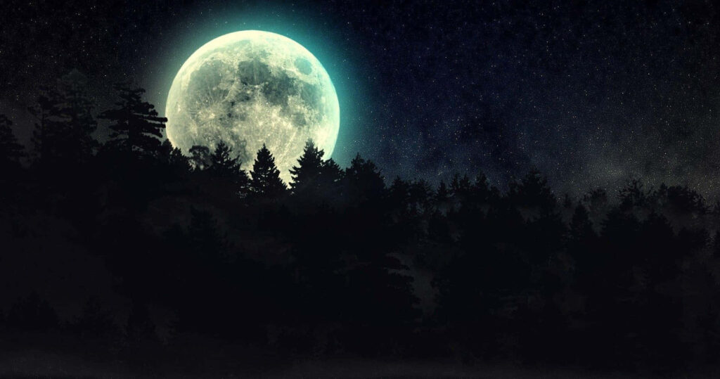 Serene Full Moon Over Tranquil Forest Lake - Enchanting Wallpaper