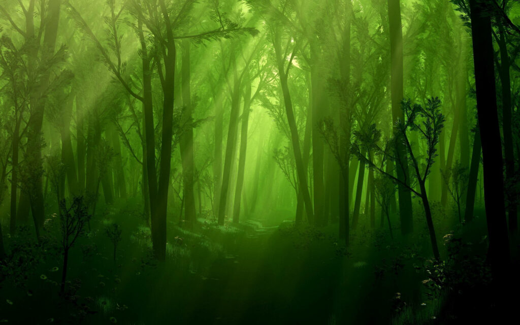 Enchanted green forest wallpaper with sunlight filtering through dense trees and vibrant foliage