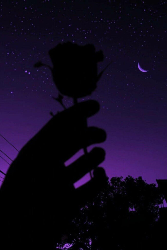 Enigmatic Elegance: Captivating Silhouettes Against a Stellar Black and Purple Aesthetic Wallpaper