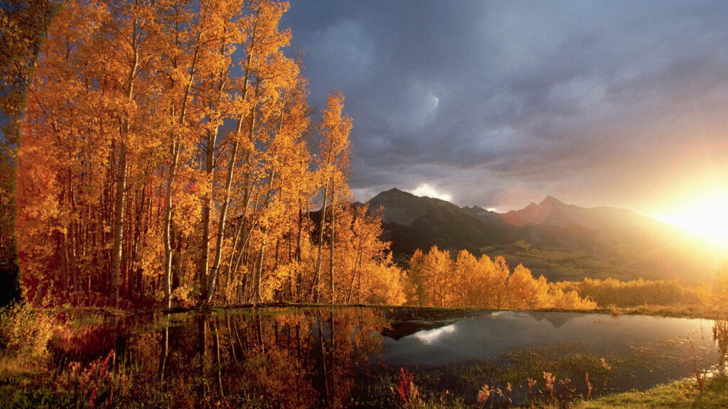 Captivating Autumn Vista: Majestic Mountain, Serene Lake, and Enchanting Forest Wallpaper