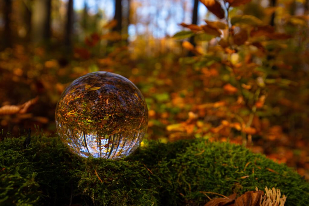 Autumn Forest Wallpaper: Glass Ball Reflection & Vibrant Colors