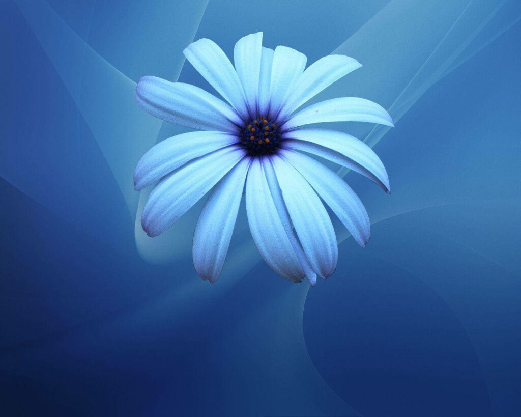 Enchanting Blue Flower Wallpaper - Serene Abstract Background