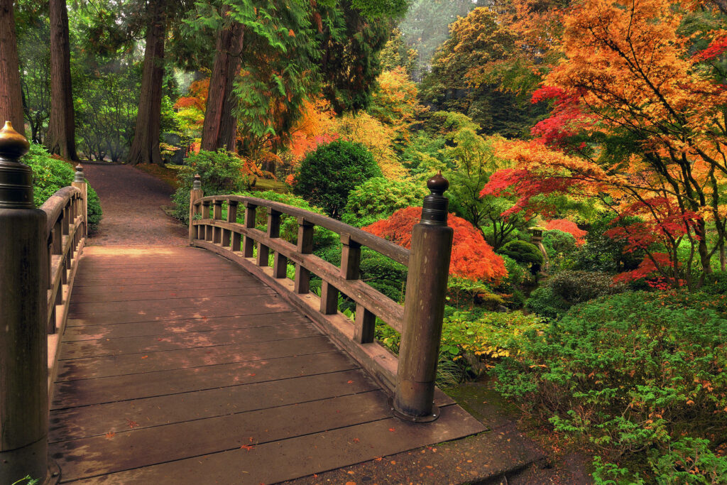 Nature's Masterpiece: An Enchanting Wooden Bridge Amid Vibrant Flora in the Park Wallpaper