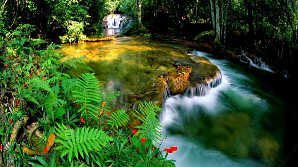 Enchanting Cascades amidst Lush Canopy: Nature's Captivating Oasis Wallpaper