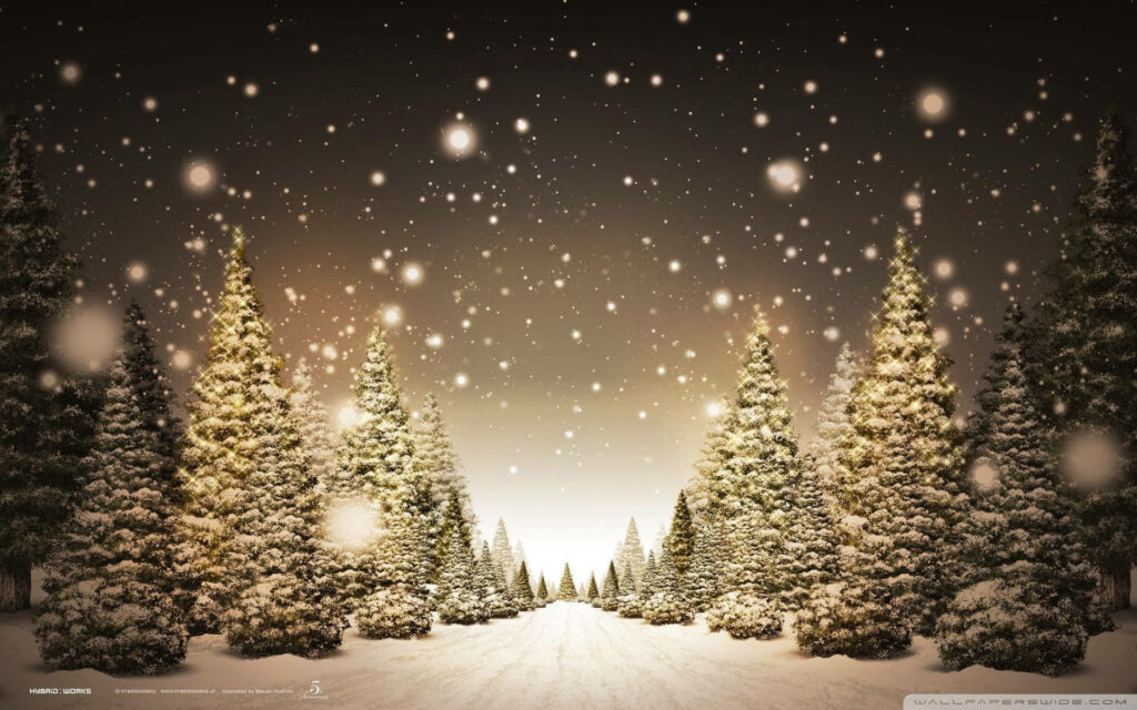 Enchanting Christmas Forest Wallpaper: Winter Wonderland Background