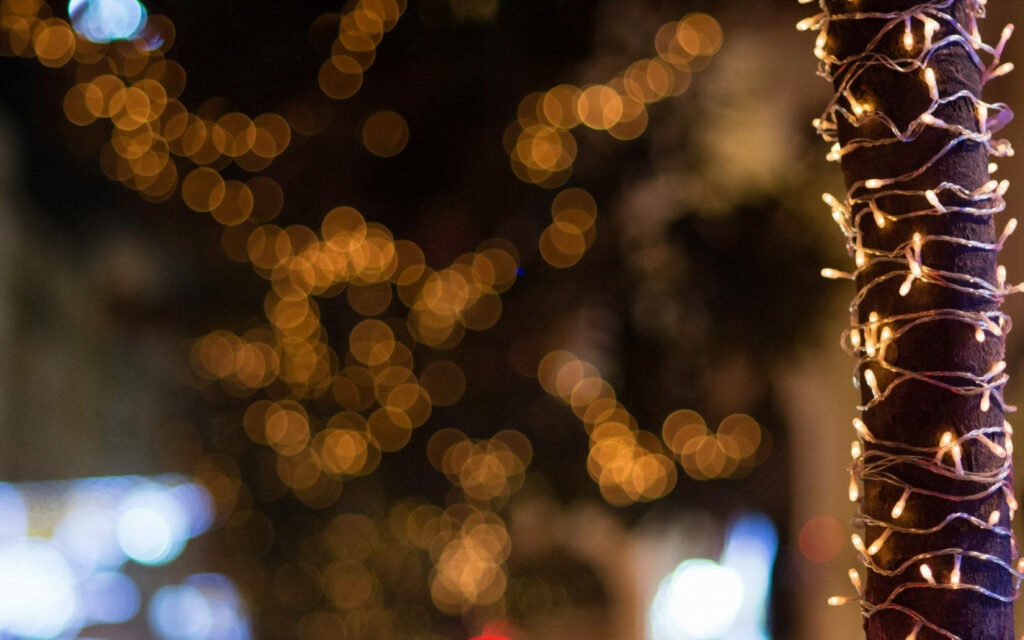 Enchanting Christmas Tree Aglow with Sparkling Lights, Radiating Joy against a Starry Night Sky - Festive Background Snapshot Wallpaper
