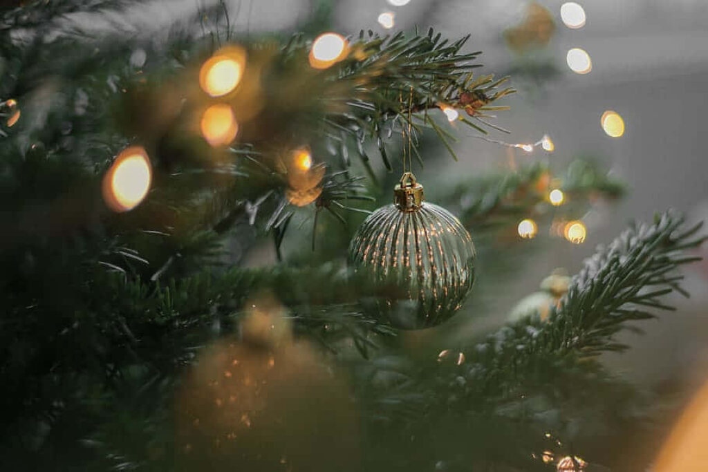 Magical Christmas Night Wallpaper: Enchanting Tree with Glowing Lights