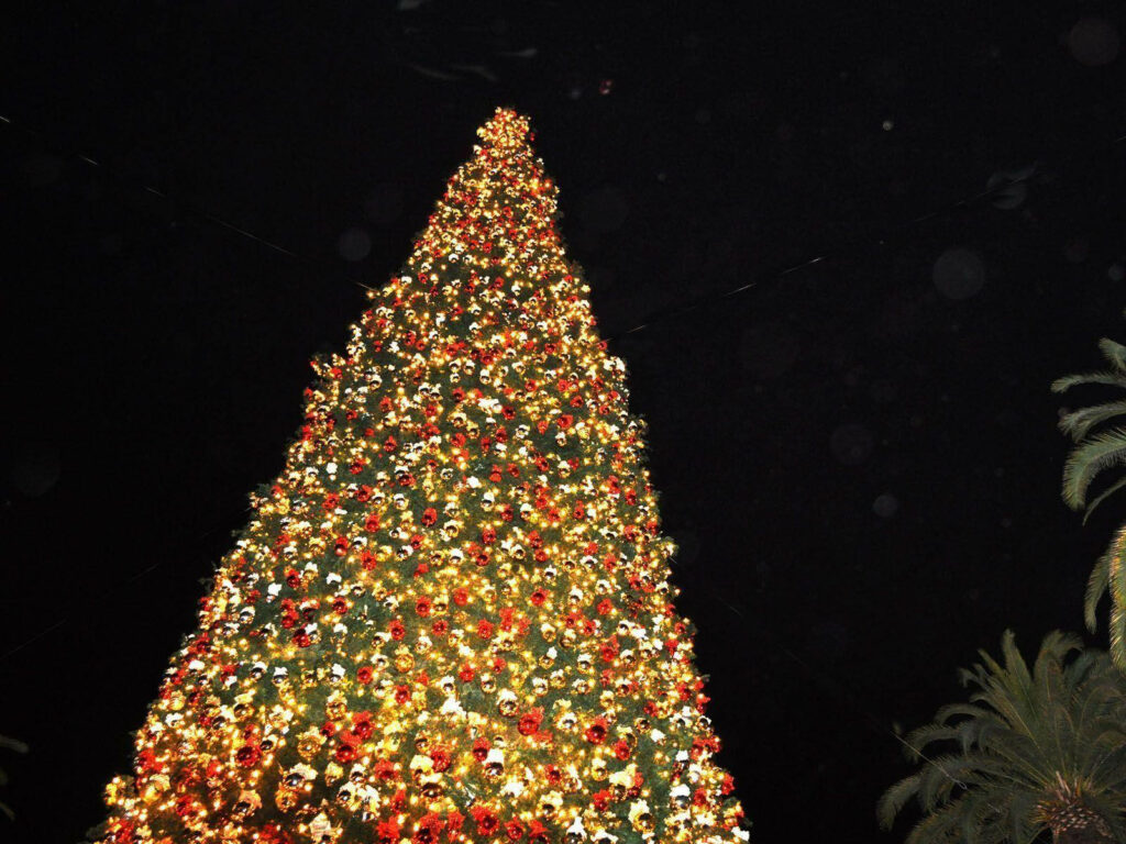 Enchanting Christmas Tree Lights Up Night Sky: Festive Holiday Beauty Wallpaper