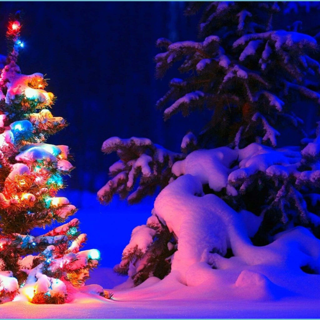 Enchanting Christmas Wallpaper: Colorful Tree in Snowy Landscape