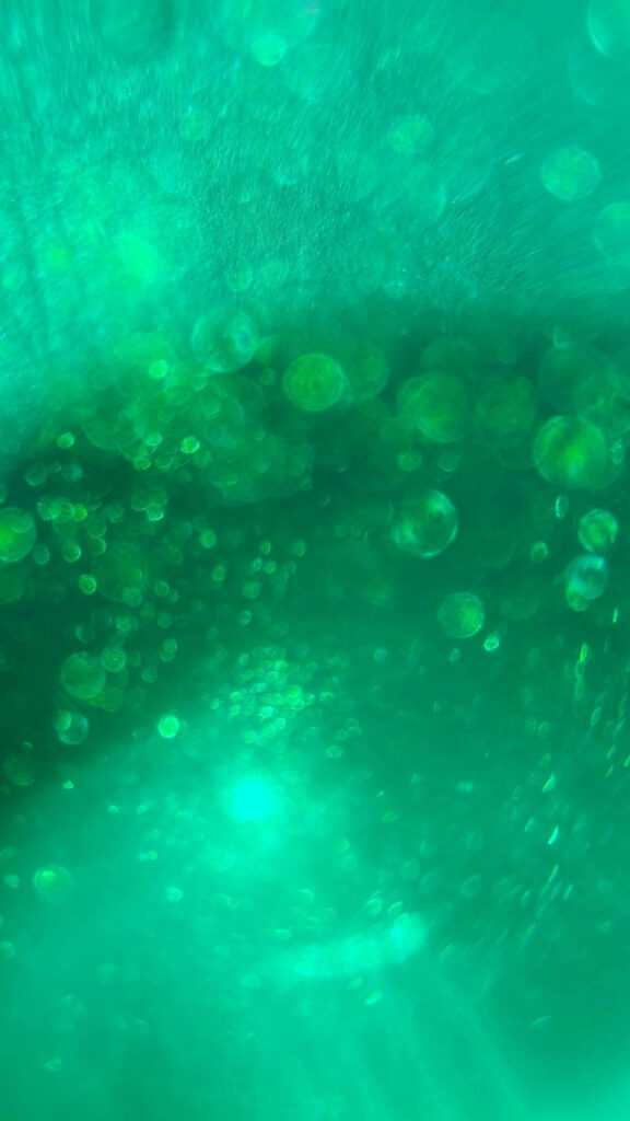 Ethereal Enchantment: Serene Green Aesthetic Imagery Unveiling Graceful Floating Circles in a Lush Verdant Setting Wallpaper