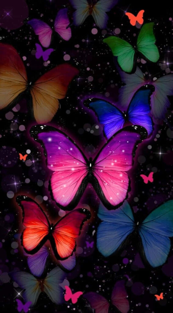 Enchanting Colorful Butterflies Wallpaper on Dark Starry Background
