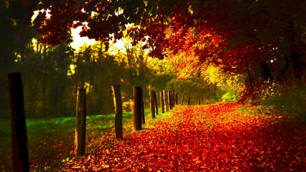 Autumn's Dazzling Colors: A Breathtaking HD Scenery Portrait Wallpaper