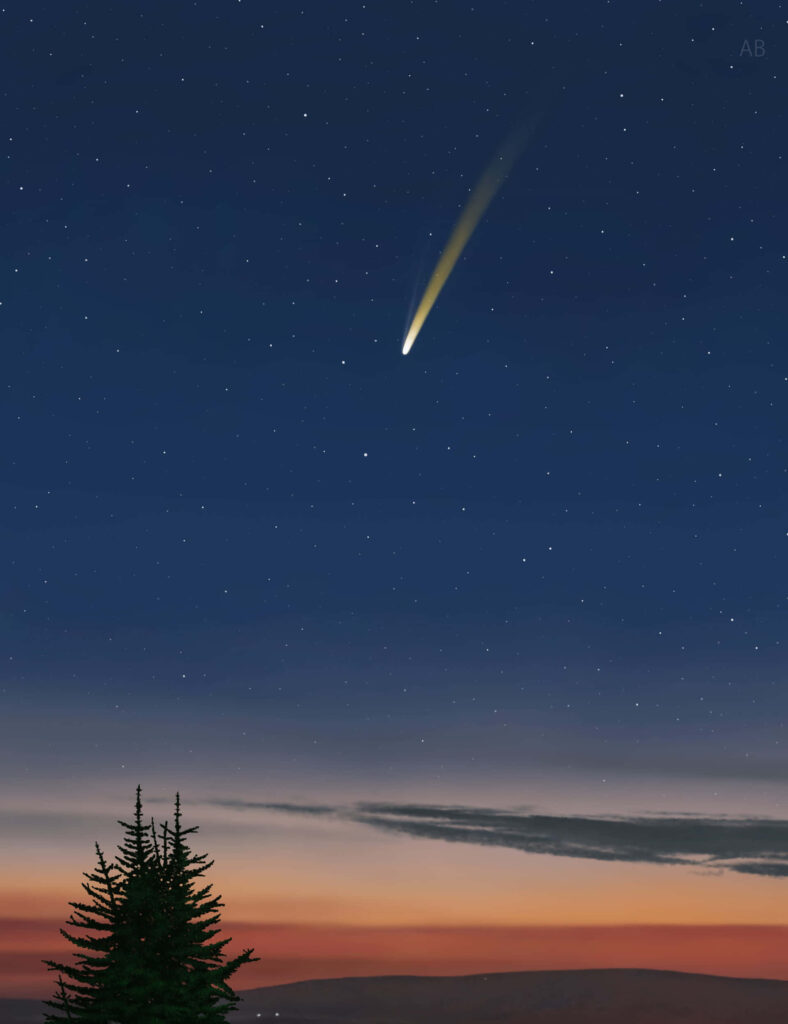Enchanting Comet Night Sky Wallpaper: Tranquil Stars & Tree Silhouette