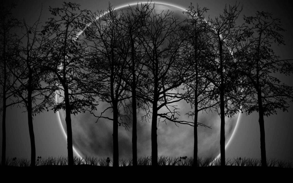 Enchanting Dark Moon Wallpaper: Serene Nighttime Tree Silhouettes