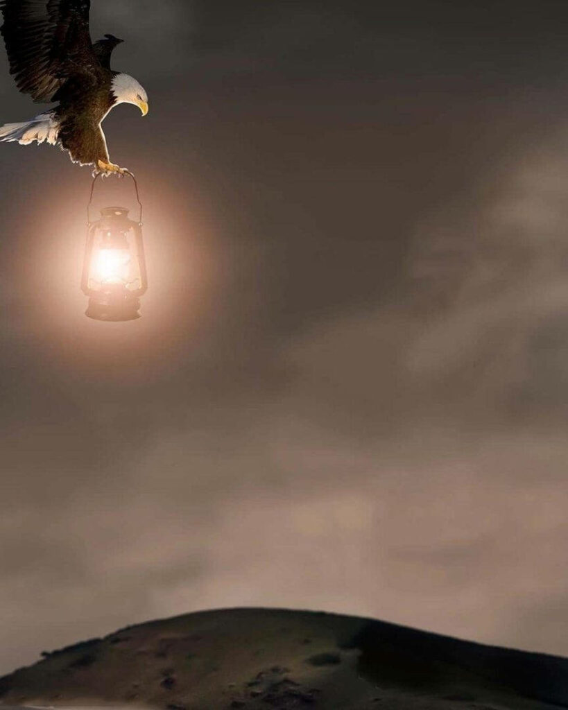 Captivating Aerial Capture: Majestic Eagle Grasping Lamp against Earth-toned Gradient - Vijay Mahar background Wallpaper