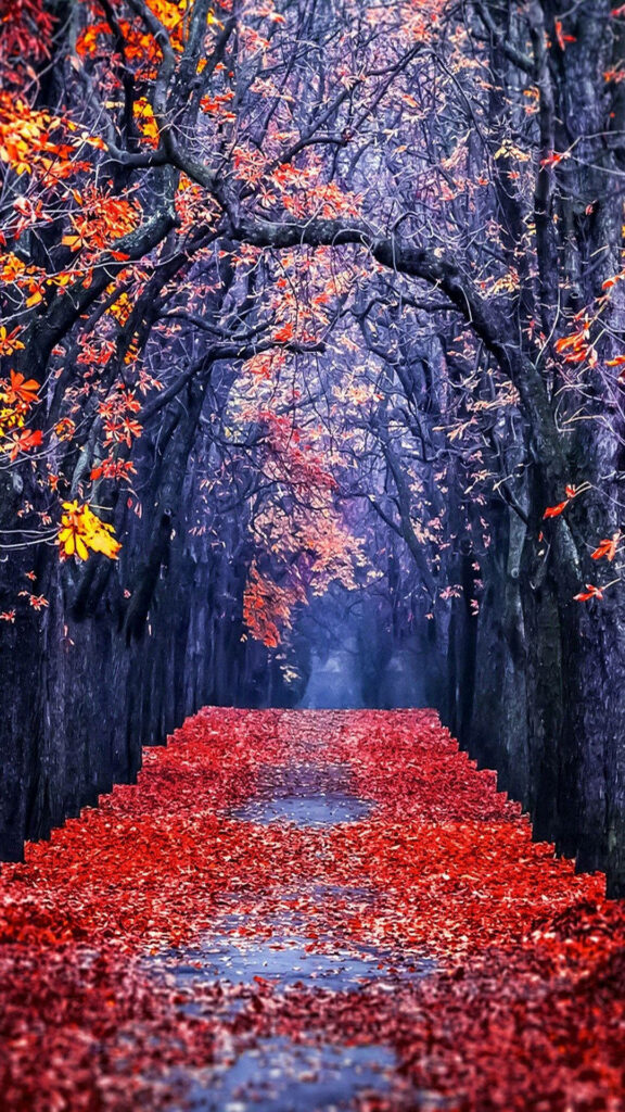 Autumn's Enchantment: Red Leaves and Orange Trees iPhone Wallpaper