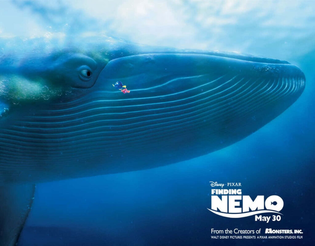 Enchanting Finding Nemo Wallpaper: Swim with Nemo & a Blue Whale
