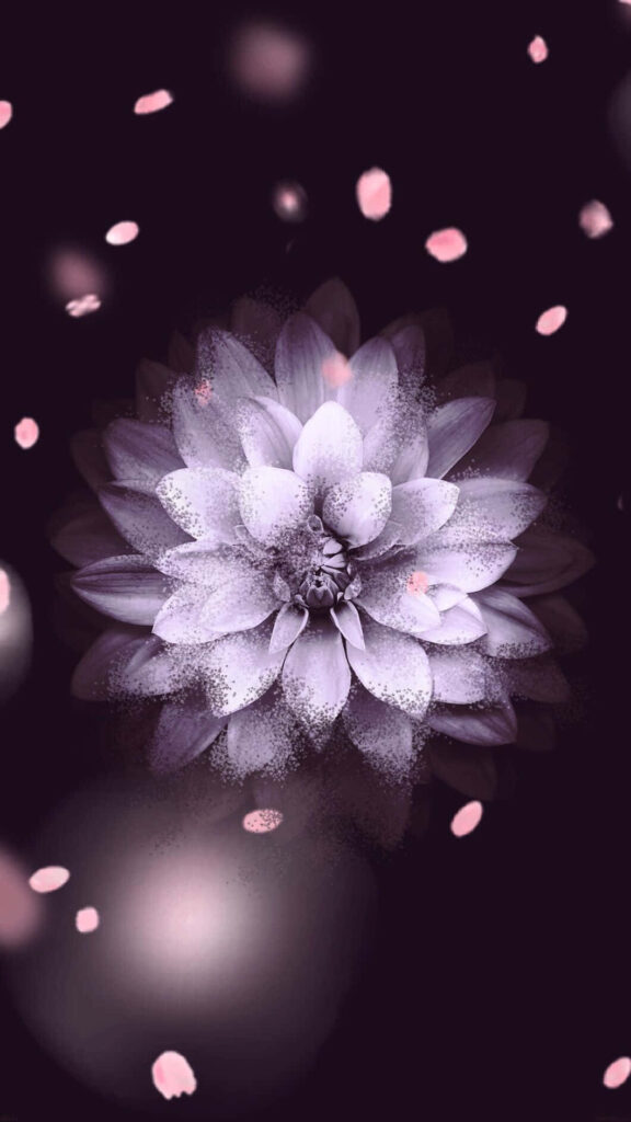 Enchanting Flower Artwork: Delicate Pink Petals on Dark Background Wallpaper
