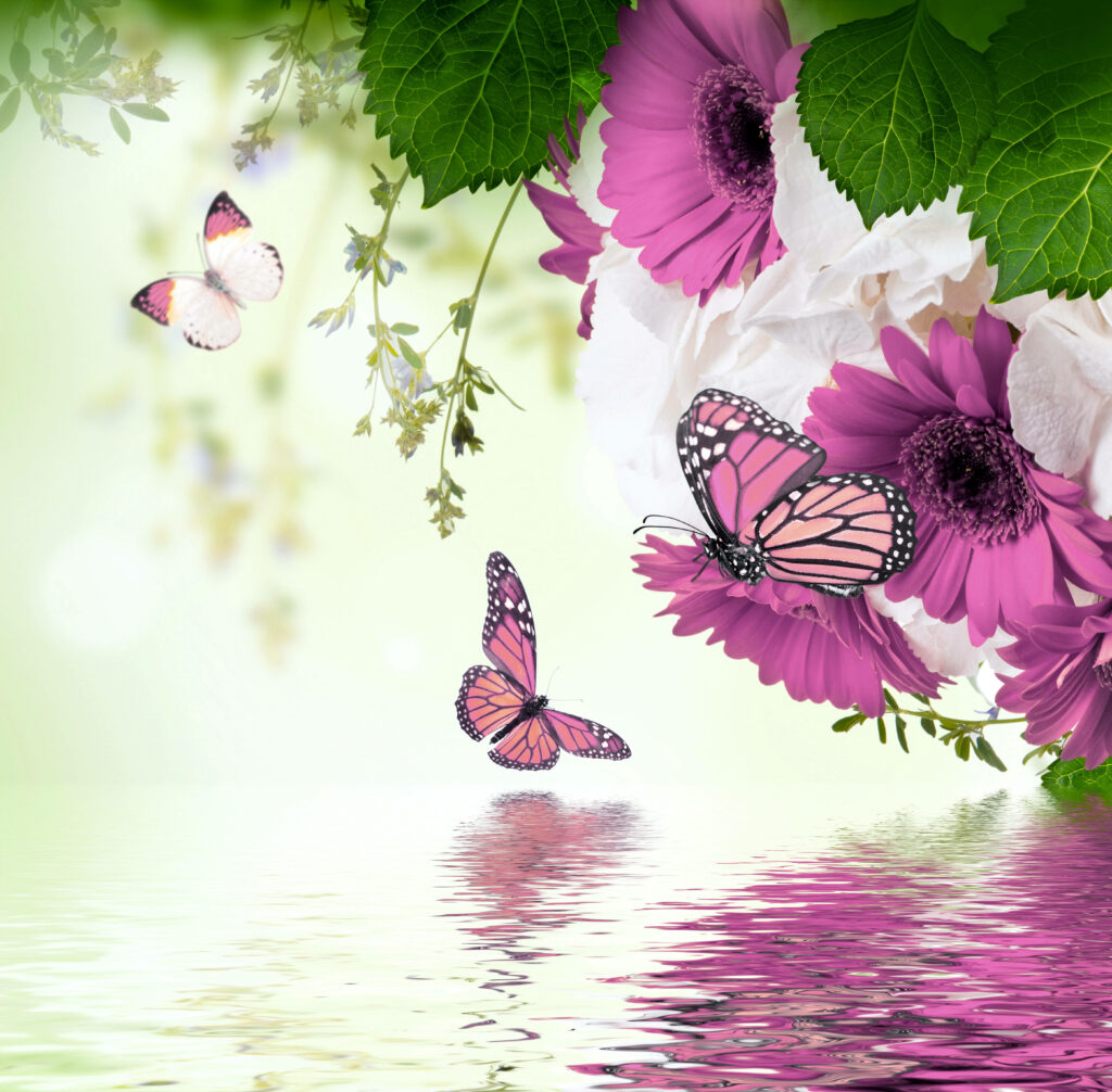 Picturesque Flutter: Breathtaking Pink Butterfly Swarm Amidst Riverbank Blossoms Wallpaper
