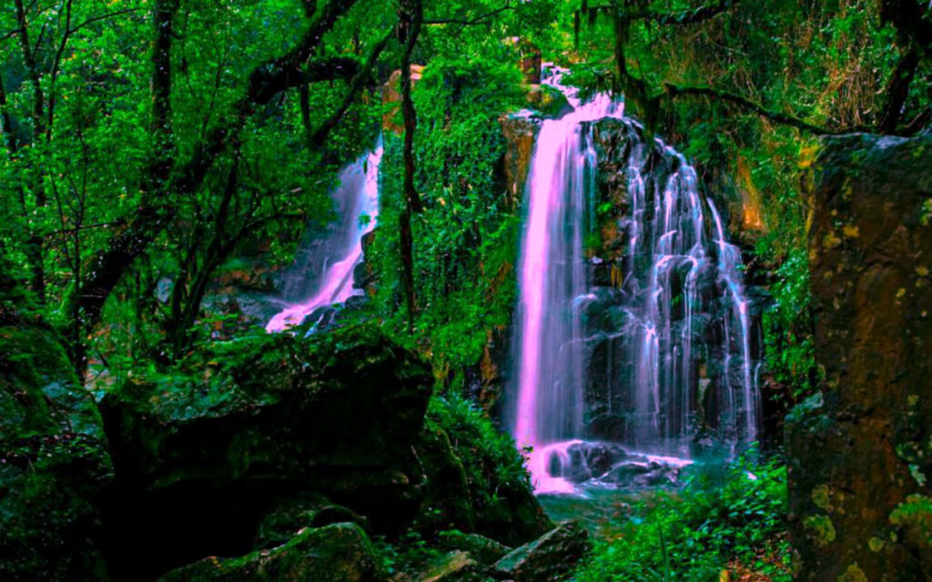 Enchanting Forest Wallpaper: Serene Waterfall & Lush Greenery