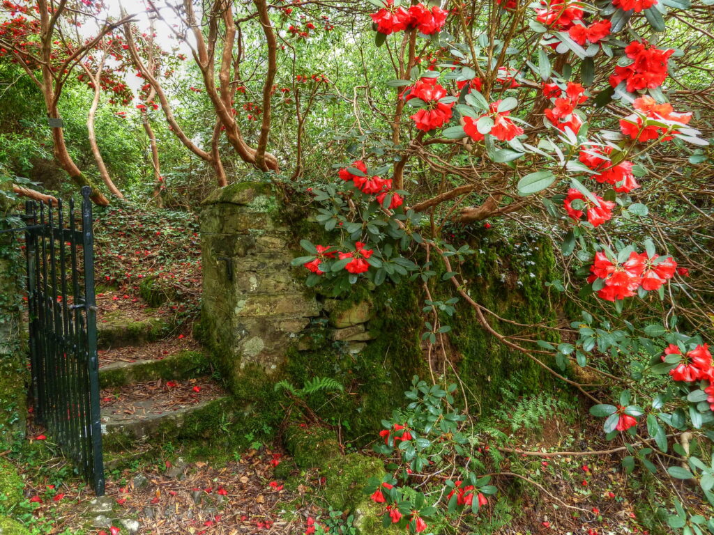 Enchanting Garden Oasis: A Mesmerizing 4K Wallpaper of Nature's Bountiful Beauty