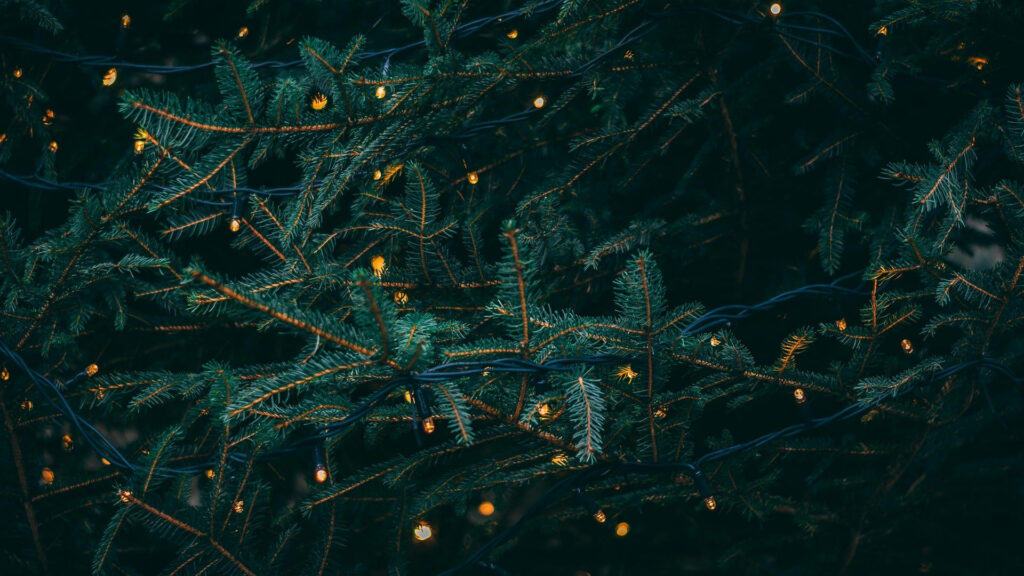 Enchanting Glow: Dark Green Christmas Aesthetic Desktop Wallpaper