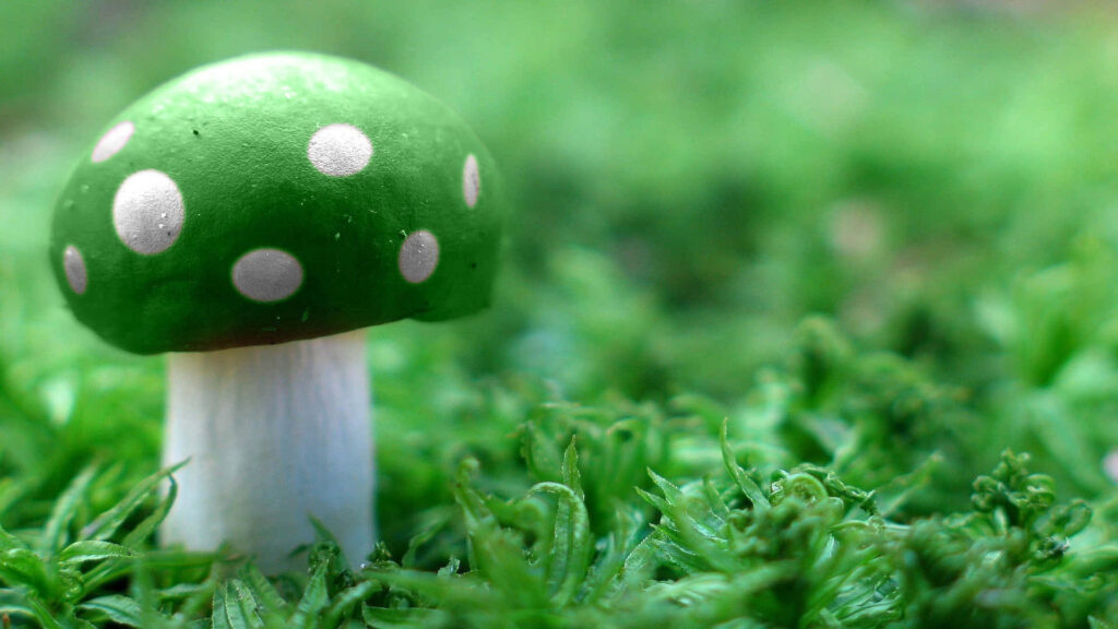 Whimsical Handmade Mushroom: Charming Fungus Decor amidst Lush Greenery Wallpaper
