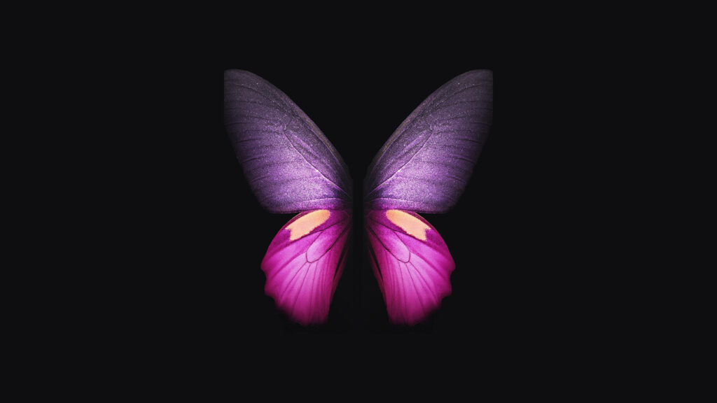 Enchanting Pink and Purple Butterfly Delighting on a Noir Canvas: Captivating Digital Artwork Wallpaper
